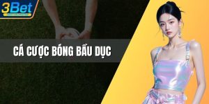 Cá Cược Bóng Bầu Dục