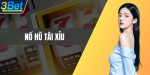 no hu tai xiu anh dai dien