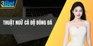 thuat ngu ca do bong da anh dai dien